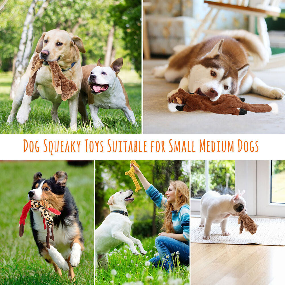 Dog Squeaky Toys 5 Pack Pet Toys Dog Toy No Stuffing Animals Plush Chew Durable
