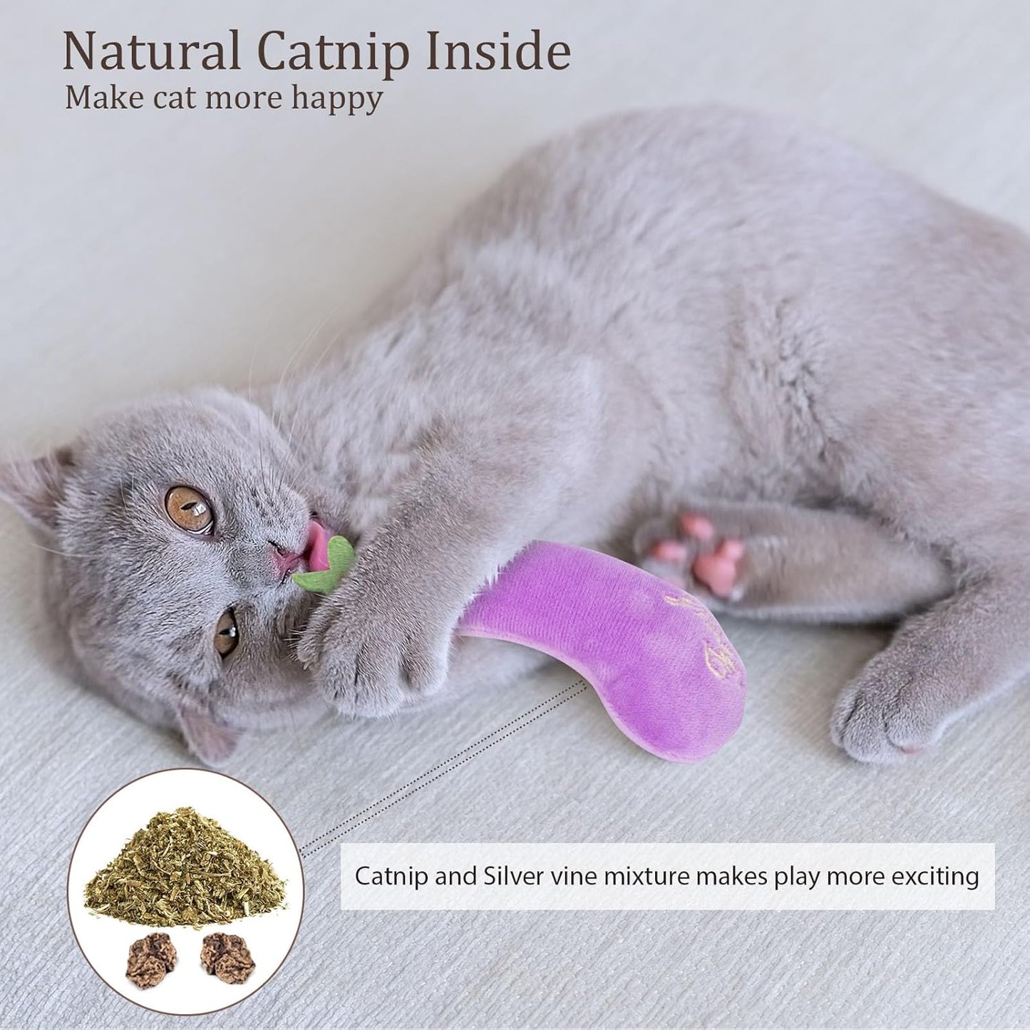 Catnip Cat Toys, 5 Pack, Vegetable Shap Cat Nip Toys for Indoor Cats Kitten Chew and Exercise, Interactive Kitty Kicker Plush Toy