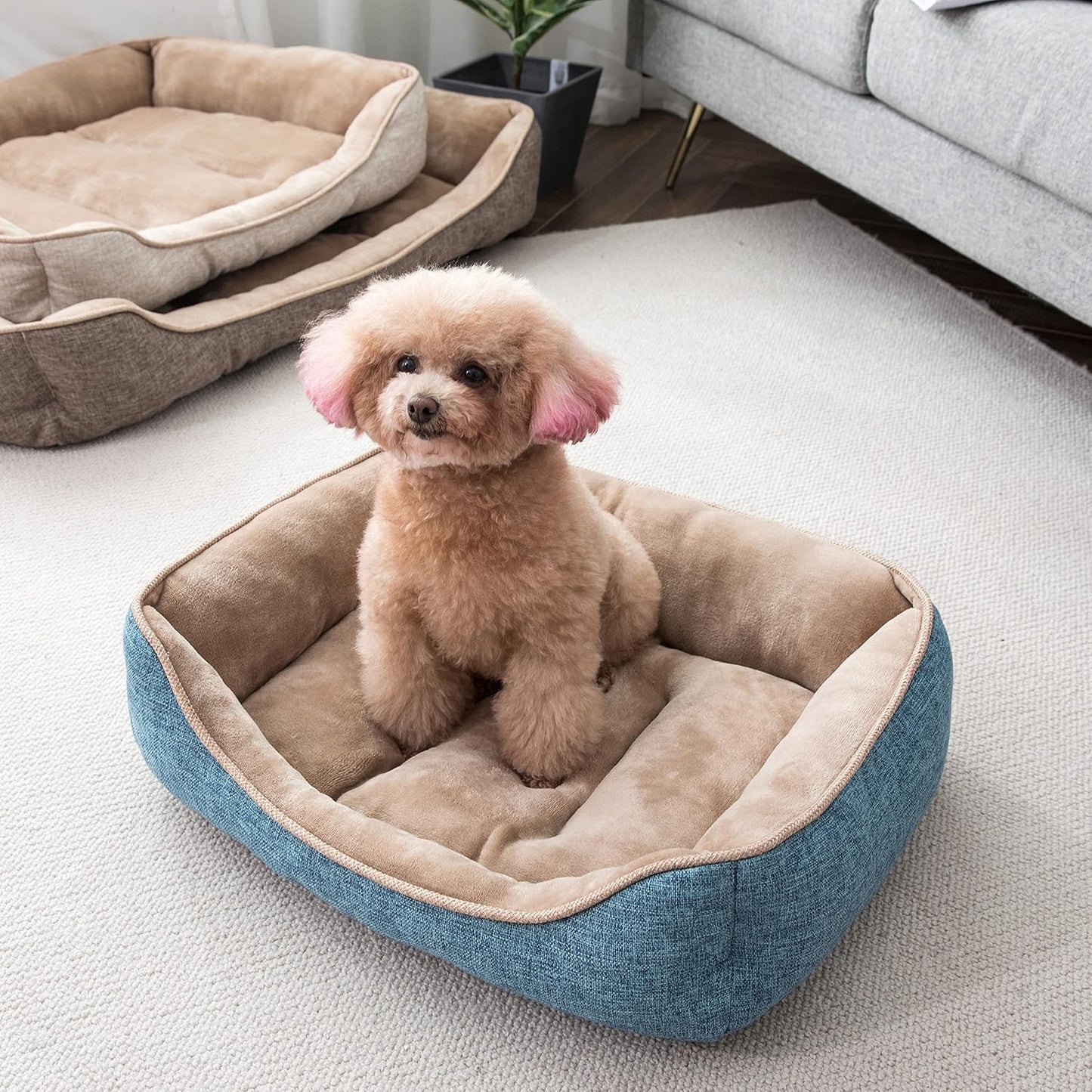 Square Dog Bed 30X24 Inches Blue Sleeping Bed Pet Bed Pet Supplies Ultra Soft Anti-Slip and Durable Bed, Cushing for Medium Dogs