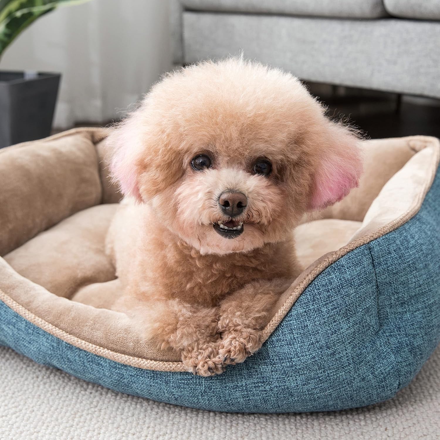 Square Dog Bed 30X24 Inches Blue Sleeping Bed Pet Bed Pet Supplies Ultra Soft Anti-Slip and Durable Bed, Cushing for Medium Dogs