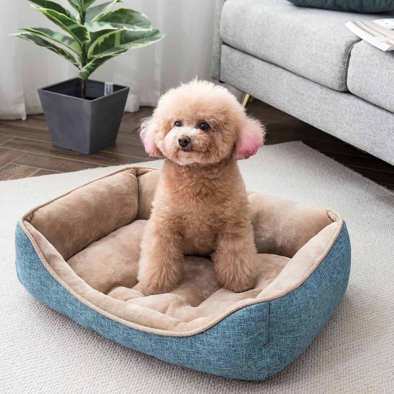 Square Dog Bed 30X24 Inches Blue Sleeping Bed Pet Bed Pet Supplies Ultra Soft Anti-Slip and Durable Bed, Cushing for Medium Dogs